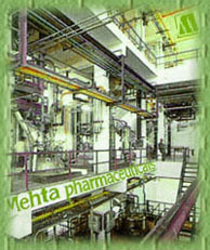 picture of plant